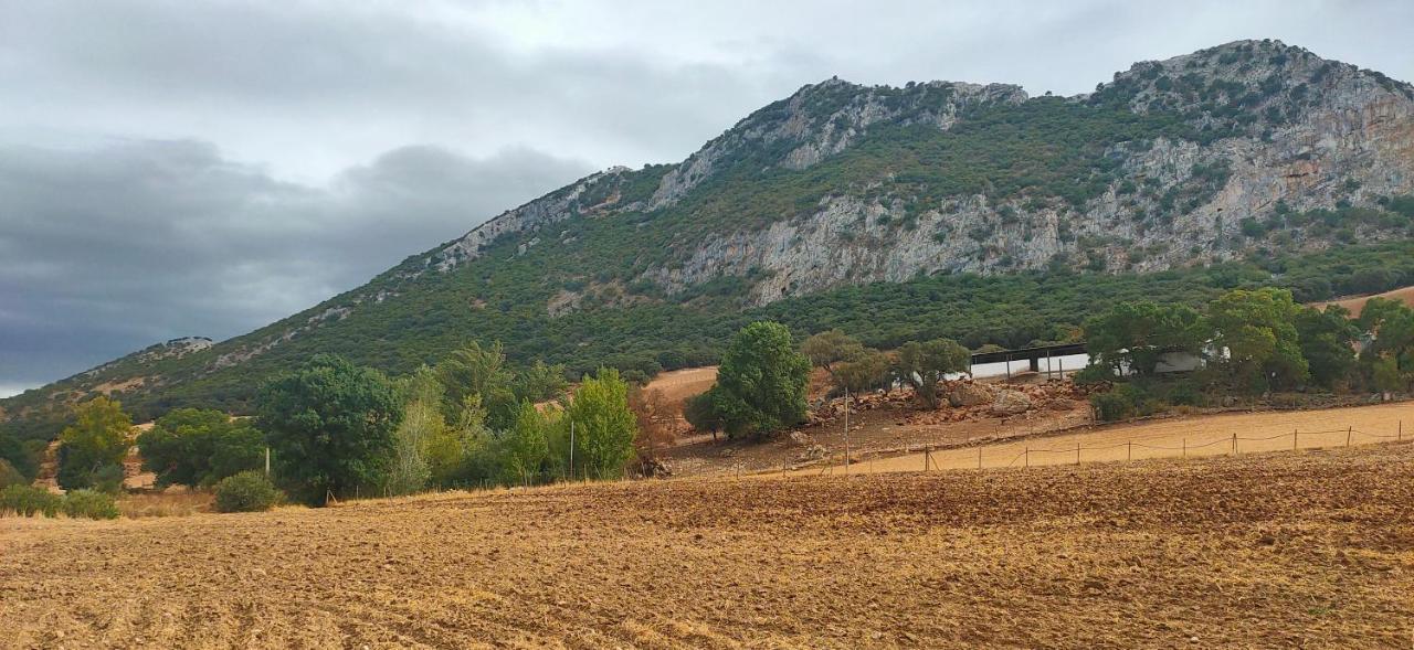 Cortijo Arcos Málaga