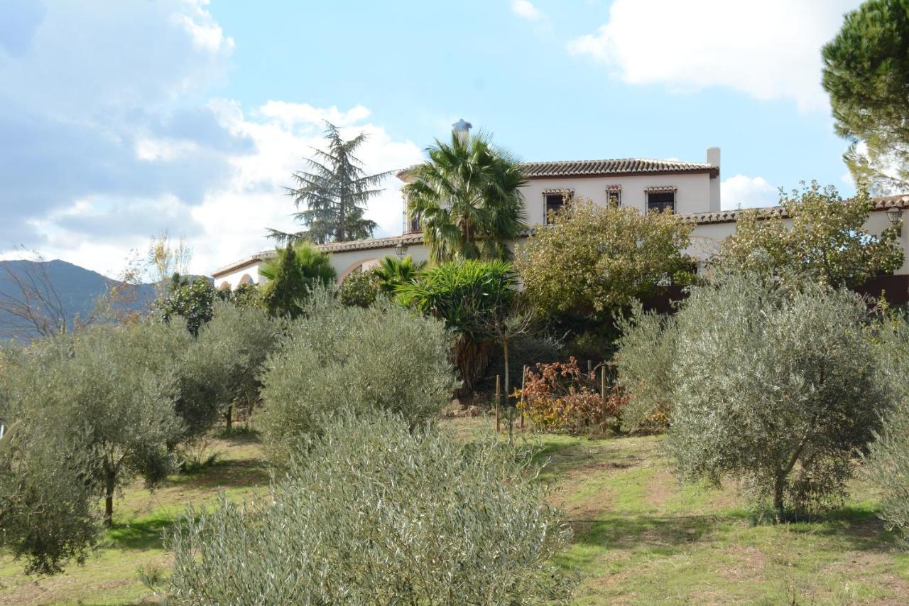 Cortijo Arcos